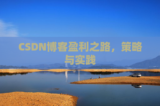 CSDN博客盈利之路，策略与实践
